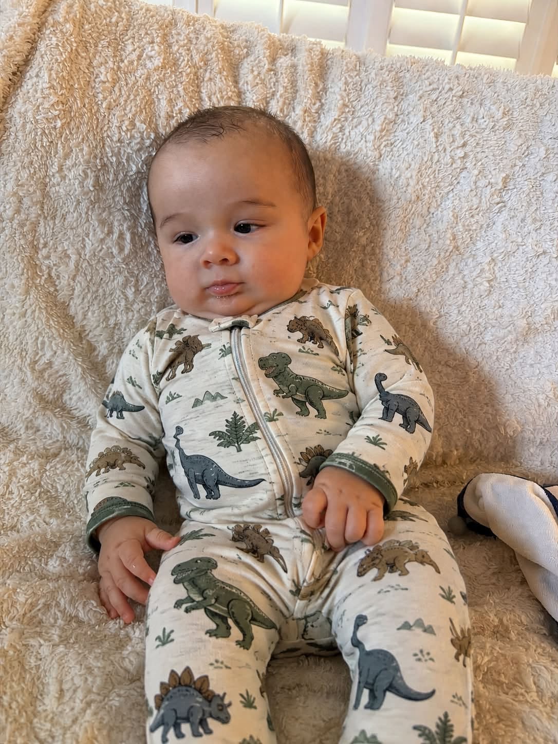 Levi, the namesake of Little Levi's Cart Co.